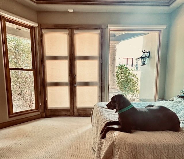 Sheer Cordless Roller Shades Master Bedroom Patio Doors